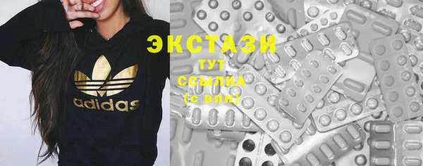 гашик Богородицк