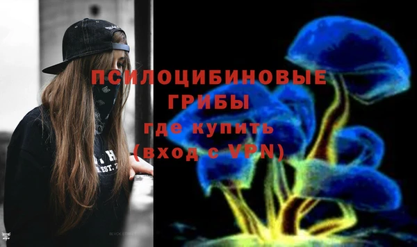 прущие крисы Армянск