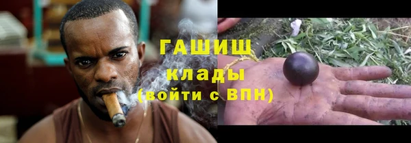 твердый Богданович