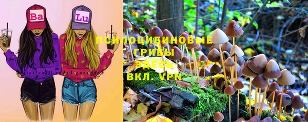 прущие крисы Армянск