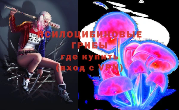 экстази Арсеньев