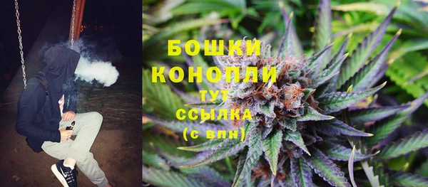 спиды Аркадак