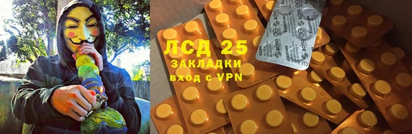 спиды Аркадак